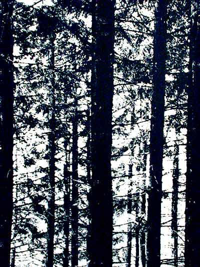 The Pinewood Fabric Handprint by Ronald Hansen for Grautex, Denmark