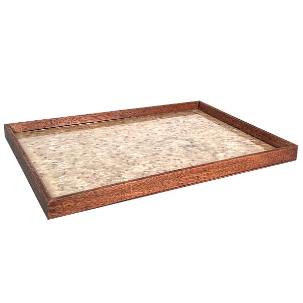 Antique Serving Tray Oak Frame Milkweed Seeds Under Glass