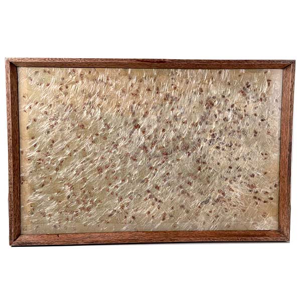 Antique Serving Tray Oak Frame Milkweed Seeds Pressed Under Glass